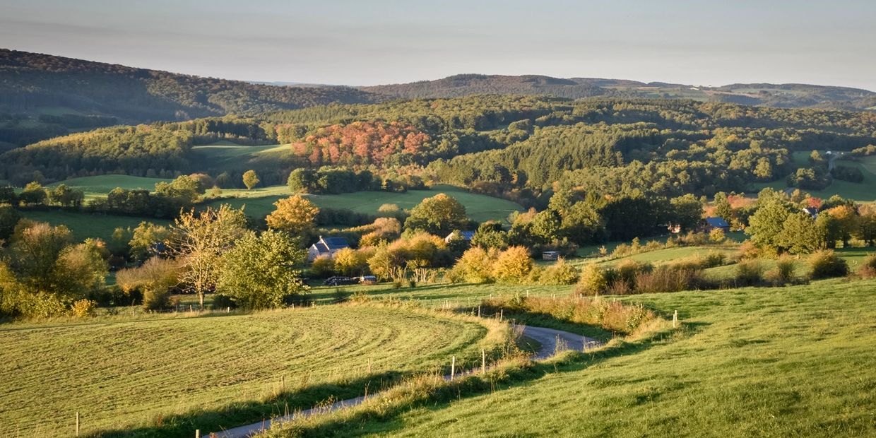 Rolling green hills with scattered trees and a winding path under a clear sky.