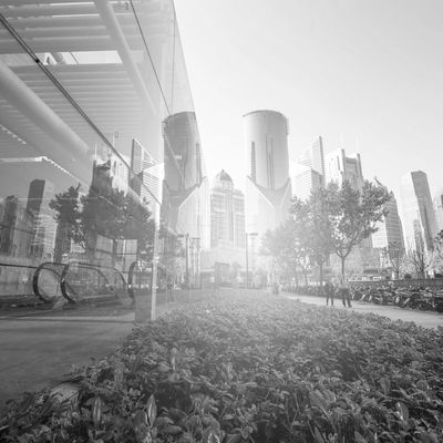 Sunlit modern cityscape with skyscrapers and greenery in foreground.