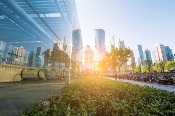 Integrating Sustainability into Corporate Culture