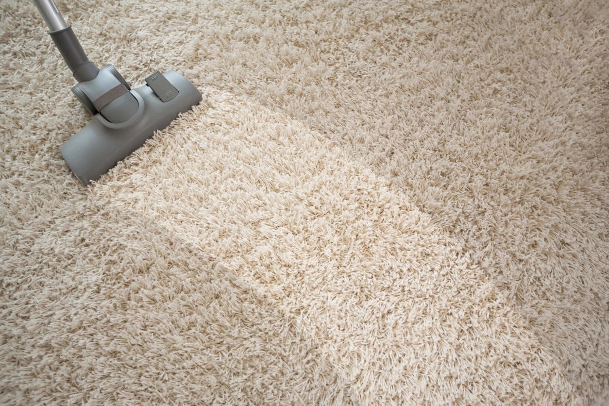 Average Carpet Cleaning Prices: 2022 Cost Guide
