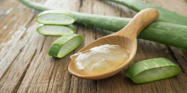 A wood spoon with Aloe Vera gel and an Aloe Vera leaf and a few cut Aloe pieces as decoration.