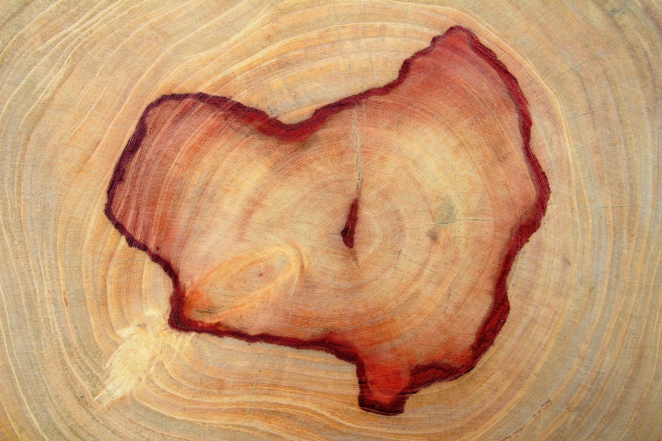 How to Remove Dyes from Finished Wood