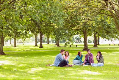 students sitting on green lawn under green trees