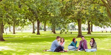 five people sitting in a garden under a tree 