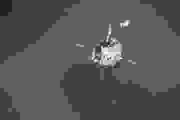 image1323