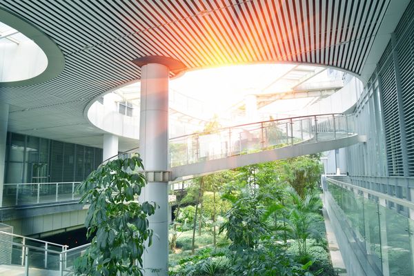 stylistic photo of a staircase in an alcove with plants below and light shining above. 