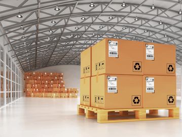 Ahşap Euro paletler uluslar arası ticarette en önemli taşıma konteynerlerinden biridir. Değiştirileb