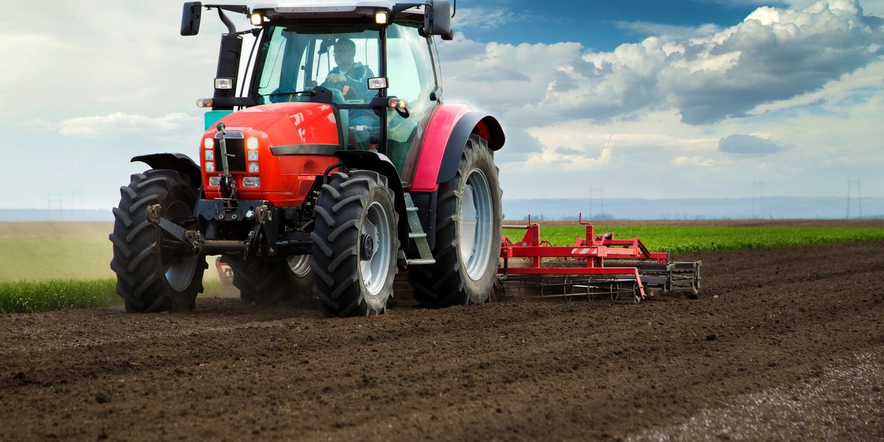 Manure is the decomposed form of natural fertilizer and is cost-effective. 