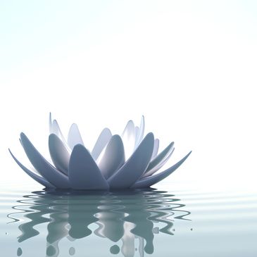 Photo of a white lotus flower on water with reflection.