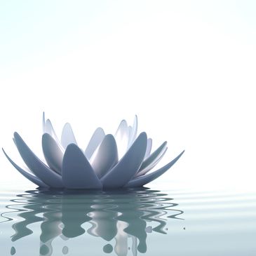 A serene white lotus flower floating on calm water with gentle reflections.