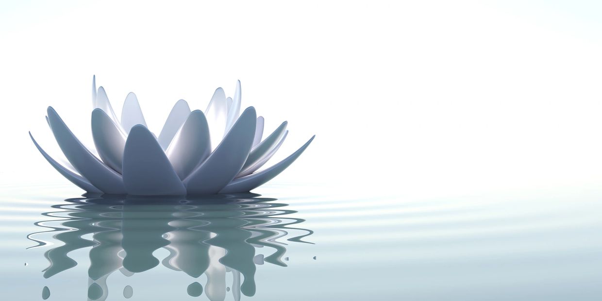 A serene white lotus flower floating on calm water with gentle ripples.