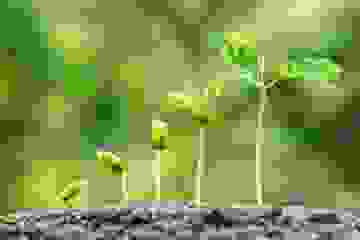 Startup growth new idea start business sole trader small medium ABN GST FTC BAS TFN company Tax 