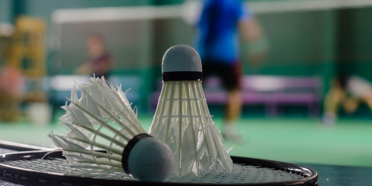 Why Badminton?