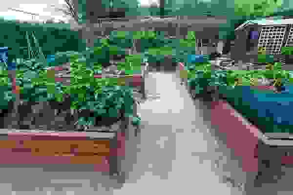 School Garden