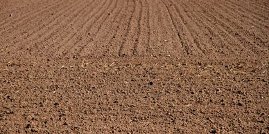 an empty and ready filed for farming