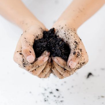 Creating your own compost
