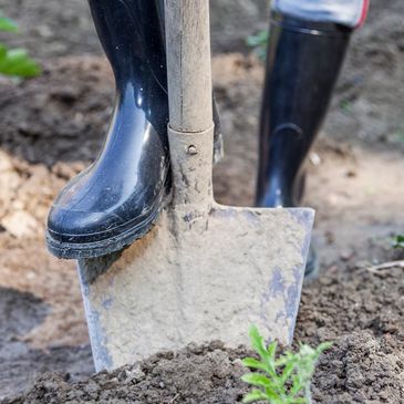 A person in garden boots is about to push the shovel into the soil.