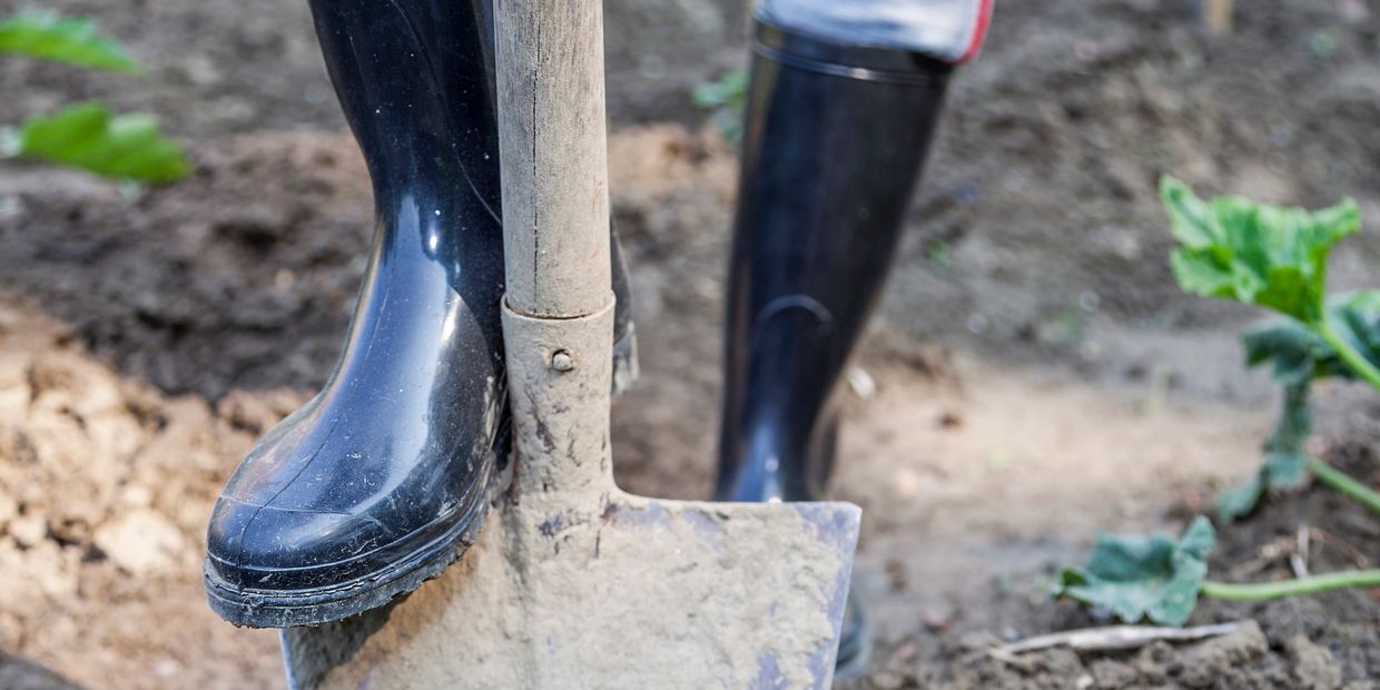 Person wearing black boots standing with a dirty shovel in soil.