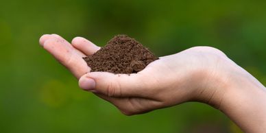 top soil and potting soil