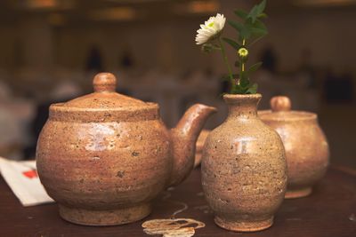 Pottery with plant on table