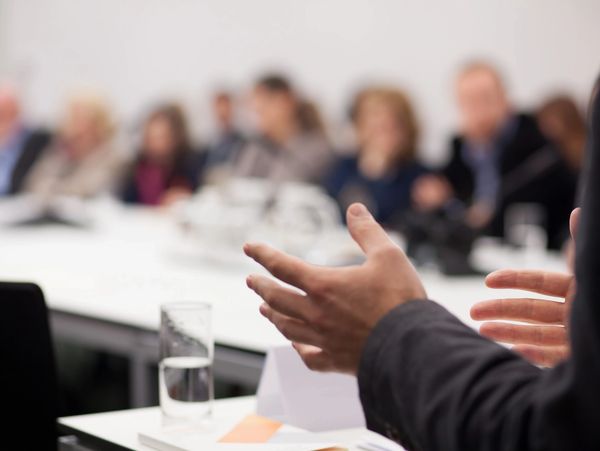 A person speaking in a meeting