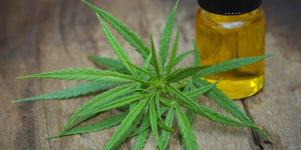 Cannabis leaf on table