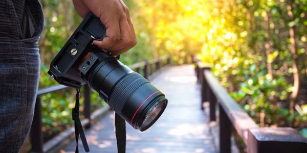 person holding camera on a bridge surrounded by blurred trees and sunlight peeking through