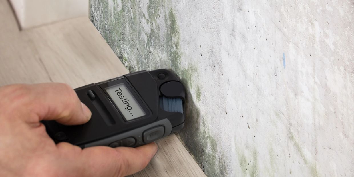 Handheld device testing moisture on a moldy wall near the floor.