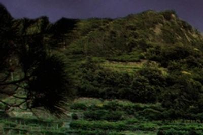 Steep terraced hillside under a dark sky.