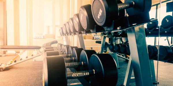 Row of dumbbells in a gym with warm lighting.