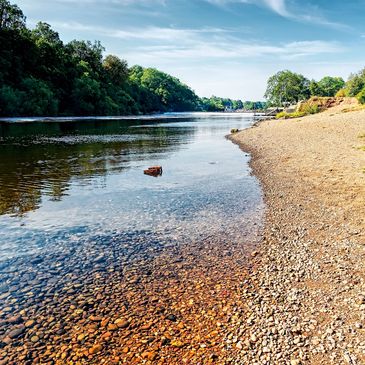 A calm, slow-moving stream with a rocky shoreline