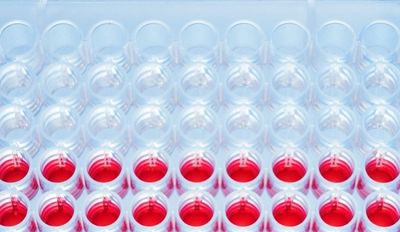 Decoding the Multi-Gene Drivers of Rare Disease via Quantum Network Medicine