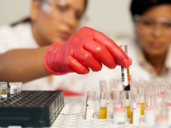 Two women scientists examining a test tube.