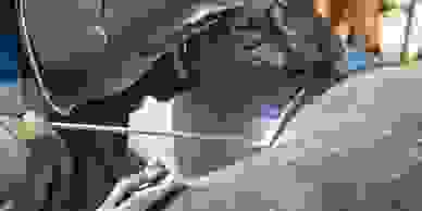 DSQ Design - Furniture, Machining Manufacturer, Desk