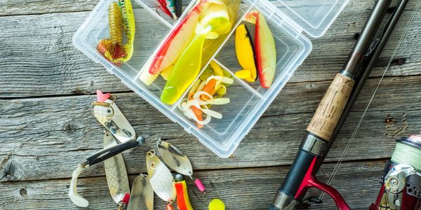 Buy New Fishing Lures Online at Superior Baits
