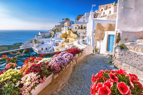 Picture of flowers and the ocean and Greek houses on  terraces