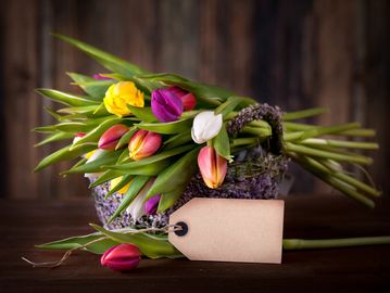 Tulips in a basket