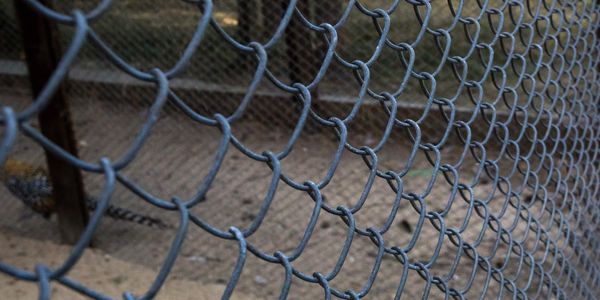 Black chain link 