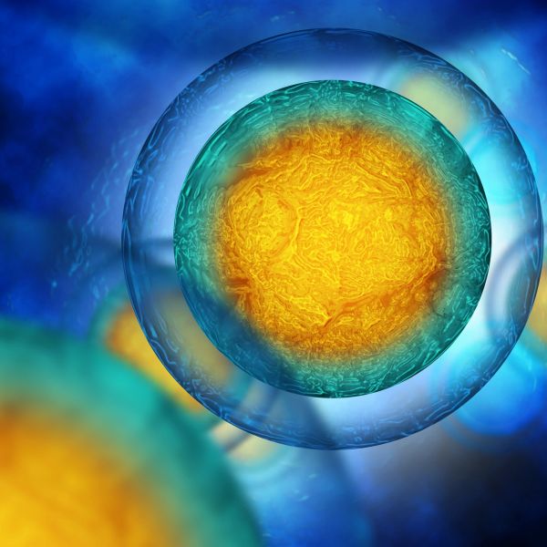 Close-up view of a vibrant cell under a microscope.