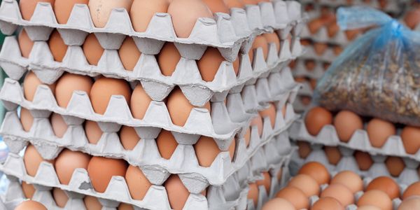 Stacks of brown eggs in gray cardboard trays at a market.