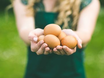 fresh organic farm-raised free-range eggs