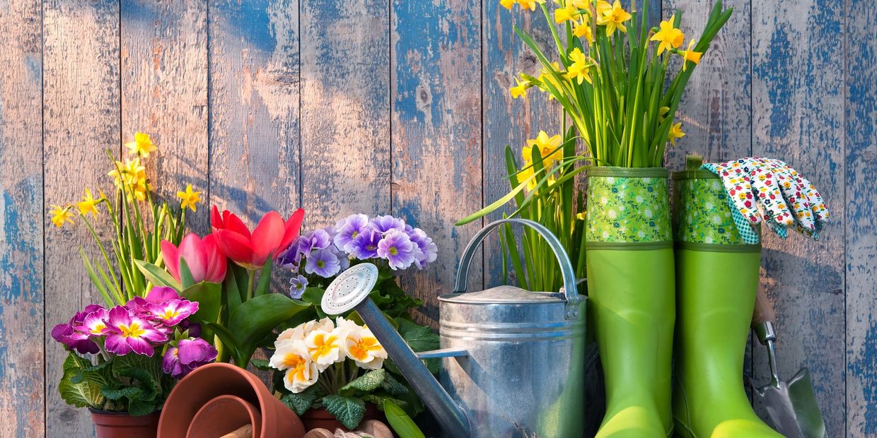 Garden pots and flowers