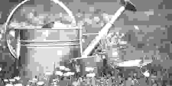 Image of a silver watering can and small buckets in a daisy field