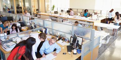 open concept office with cubicles with multiple groups of people working on projects together