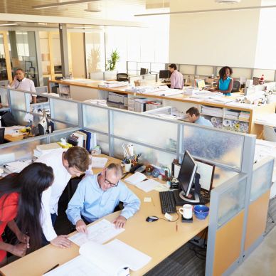 Team collaborating on architectural plans in a modern office cubicle.