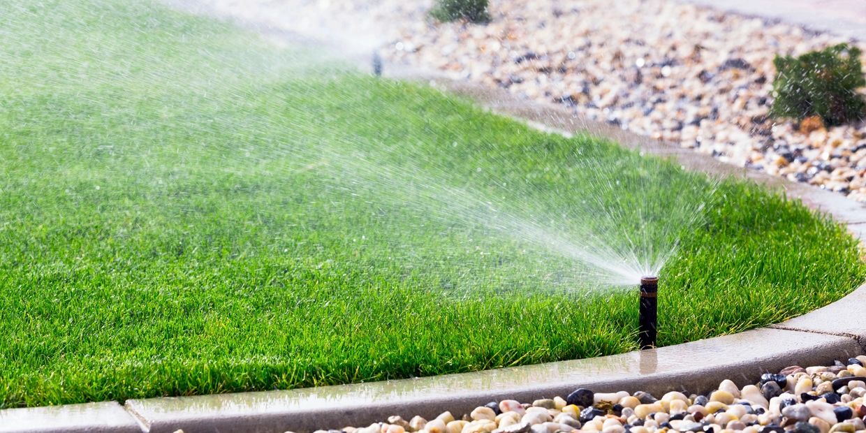 A sprinkler watering a lush green lawn bordered by rocks.