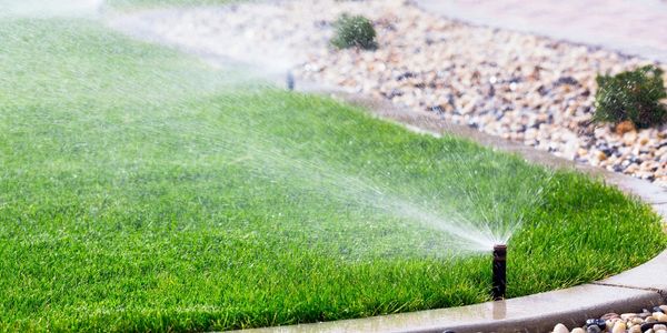 Sprinkler spray head watering the grass properly