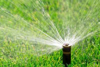 Pop up sprinkler watering lawn
