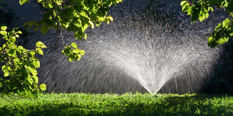 Water sprinkler in a garden