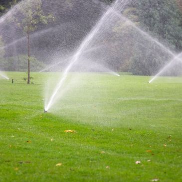 Sprinkler Startup Sprinkler Assessment